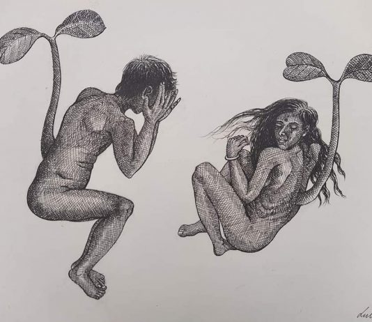 ছবি ভাবনা